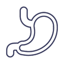 Stomach icon.
